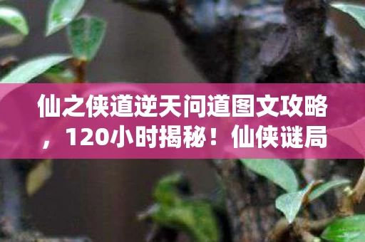 仙之侠道逆天问道图文攻略，120小时揭秘！仙侠谜局终破，泪目，谁在逆天路上永眠？