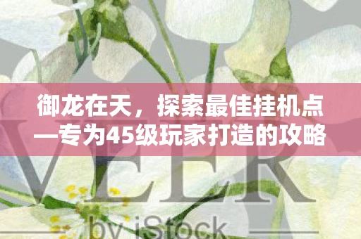 专为45级玩家打造的攻略资讯频道图片
