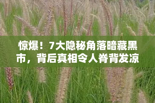 惊爆!7大隐秘角落暗藏黑市,背后真相令人脊背发凉! 惊爆!7大隐秘角落暗藏黑市,背后真相令人脊背发凉!
