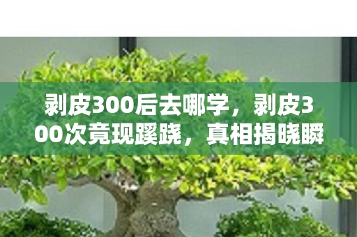 剥皮300后去哪学，剥皮300次竟现蹊跷，真相揭晓瞬间后背发凉！