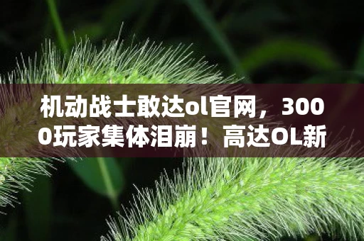 机动战士敢达ol官网,3000玩家集体泪崩!高达OL新版本疑点重重,网吧大神绷不住了 机动战士敢达ol官网,3000玩家集体泪崩!高达OL新版本疑点重重,网吧大神绷不住了