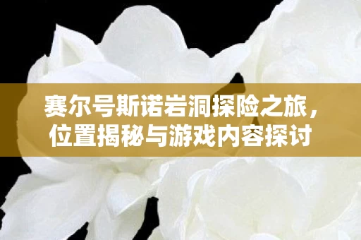 赛尔号斯诺岩洞探险之旅图片