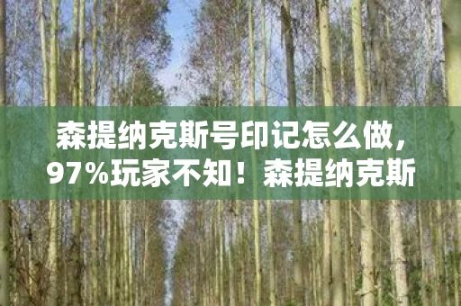 森提纳克斯号印记怎么做，97%玩家不知！森提纳克斯号印记在三平台竟有天壤之别的操控感