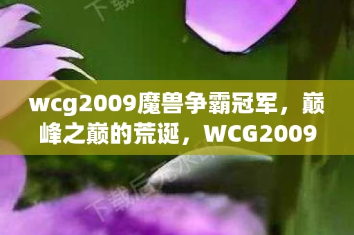 wcg2009魔兽争霸冠军,巅峰之巅的荒诞,WCG2009魔兽王者,现实人生的负分囚徒 wcg2009魔兽争霸冠军,巅峰之巅的荒诞,WCG2009魔兽王者,现实人生的负分囚徒