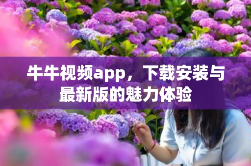 下载安装与最新版的魅力体验图片