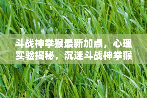 斗战神拳猴最新加点,心理实验揭秘,沉迷斗战神拳猴加点,细思极恐的自我囚禁 斗战神拳猴最新加点,心理实验揭秘,沉迷斗战神拳猴加点,细思极恐的自我囚禁