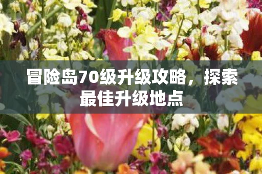 冒险岛70级升级攻略图片