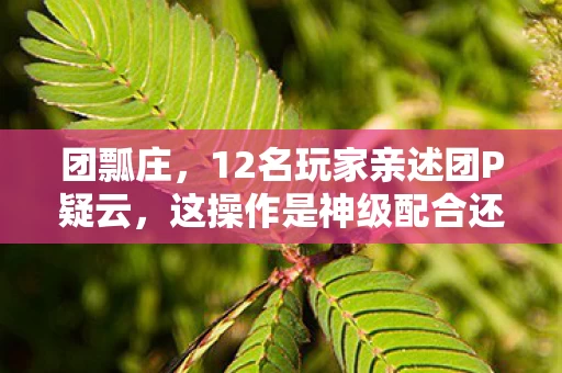 团瓢庄，12名玩家亲述团P疑云，这操作是神级配合还是官方外挂？我当场笑崩
