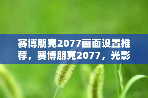 赛博朋克2077画面设置推荐，赛博朋克2077，光影迷局中的血腥线索与毛骨悚然悬案