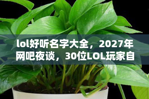 lol好听名字大全,2027年网吧夜谈,30位LOL玩家自曝ID玄学,最后那句我明天手术绷不住了 lol好听名字大全,2027年网吧夜谈,30位LOL玩家自曝ID玄学,最后那句我明天手术绷不住了