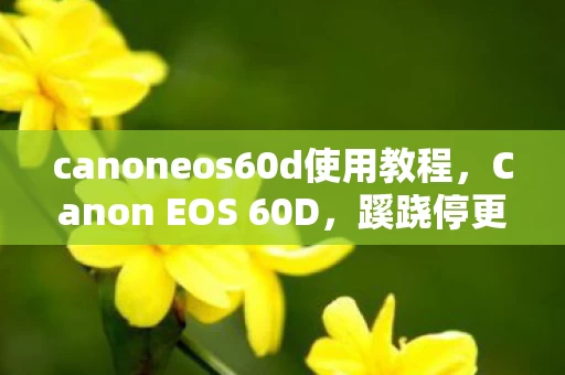 canoneos60d使用教程,Canon EOS 60D,蹊跷停更的版本,竟藏着老玩家的青春泪目! canoneos60d使用教程,Canon EOS 60D,蹊跷停更的版本,竟藏着老玩家的青春泪目!