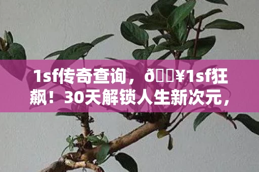 1sf传奇查询,🔥1sf狂飙!30天解锁人生新次元,这体验爽到飞起! 1sf传奇查询,🔥1sf狂飙!30天解锁人生新次元,这体验爽到飞起!