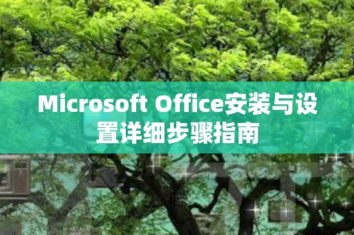 Microsoft Office安装与设置详细步骤指南图片