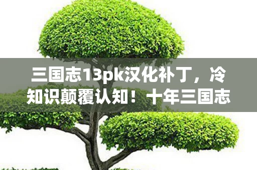 三国志13pk汉化补丁,冷知识颠覆认知!十年三国志13玩家竟目瞪口呆,新手教程都没通关? 三国志13pk汉化补丁,冷知识颠覆认知!十年三国志13玩家竟目瞪口呆,新手教程都没通关?