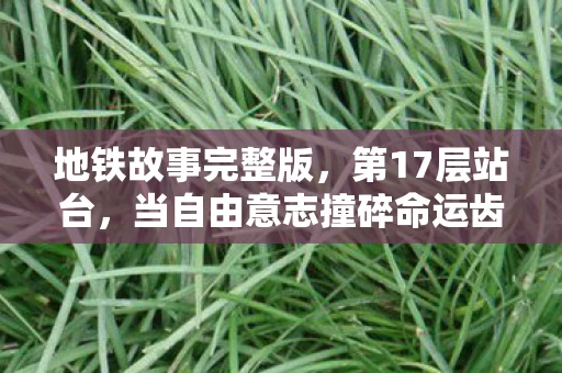 地铁故事完整版,第17层站台,当自由意志撞碎命运齿轮的灵魂震颤 地铁故事完整版,第17层站台,当自由意志撞碎命运齿轮的灵魂震颤