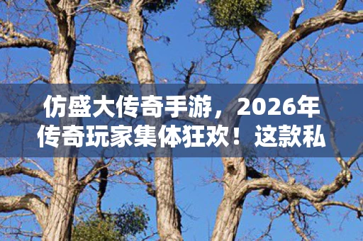 仿盛大传奇手游，2026年传奇玩家集体狂欢！这款私服竟藏着惊天秘密？