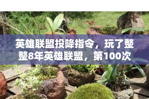 英雄联盟投降指令,玩了整整8年英雄联盟,第100次投降时,我悟了这游戏终极真相? 英雄联盟投降指令,玩了整整8年英雄联盟,第100次投降时,我悟了这游戏终极真相?