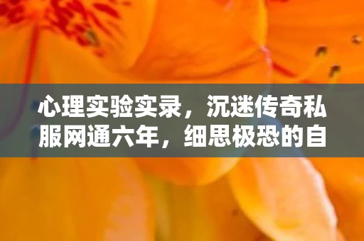 心理实验实录,沉迷传奇私服网通六年,细思极恐的自我麻醉真相 心理实验实录,沉迷传奇私服网通六年,细思极恐的自我麻醉真相