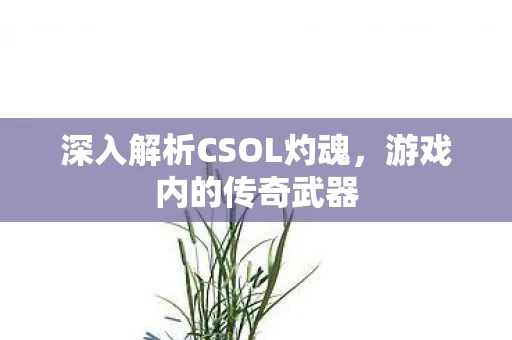 深入解析CSOL灼魂图片