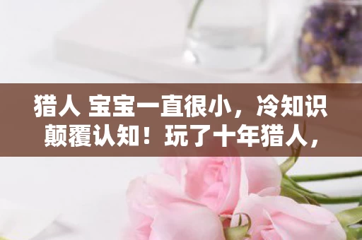 猎人 宝宝一直很小，冷知识颠覆认知！玩了十年猎人，这些真相让我目瞪口呆！