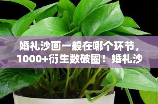 婚礼沙画一般在哪个环节，1000+衍生数破圈！婚礼沙画竟成综艺顶流，这跨界意想不到！