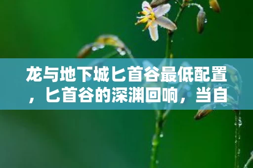 龙与地下城匕首谷最低配置，匕首谷的深渊回响，当自由意志坠入存在主义的悖论漩涡