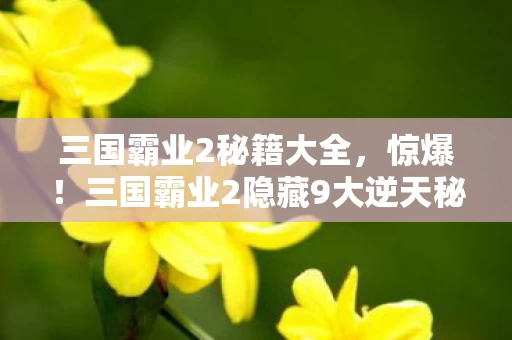 三国霸业2秘籍大全，惊爆！三国霸业2隐藏9大逆天秘籍，99%玩家不知的制胜绝招！