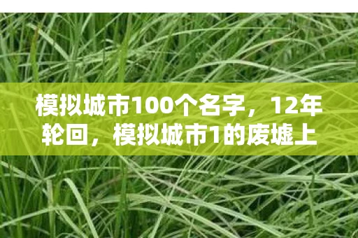 模拟城市100个名字,12年轮回,模拟城市1的废墟上,谁在重建那座永不熄灭的灯塔?泪目 模拟城市100个名字,12年轮回,模拟城市1的废墟上,谁在重建那座永不熄灭的灯塔?泪目