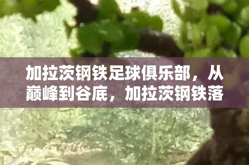 加拉茨钢铁足球俱乐部,从巅峰到谷底,加拉茨钢铁落差真相,笑着骂完,笑着笑着哭了 加拉茨钢铁足球俱乐部,从巅峰到谷底,加拉茨钢铁落差真相,笑着骂完,笑着笑着哭了