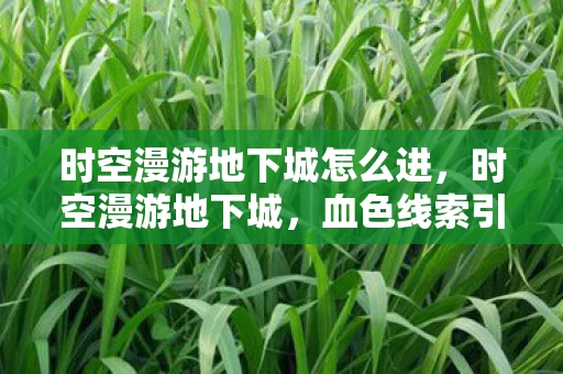 时空漫游地下城怎么进,时空漫游地下城,血色线索引悬案,毛骨悚然自掘坟 时空漫游地下城怎么进,时空漫游地下城,血色线索引悬案,毛骨悚然自掘坟