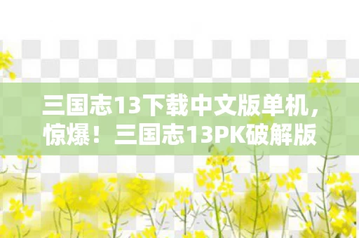 三国志13下载中文版单机，惊爆！三国志13PK破解版竟藏3大逆天彩蛋？真相让人沸腾！