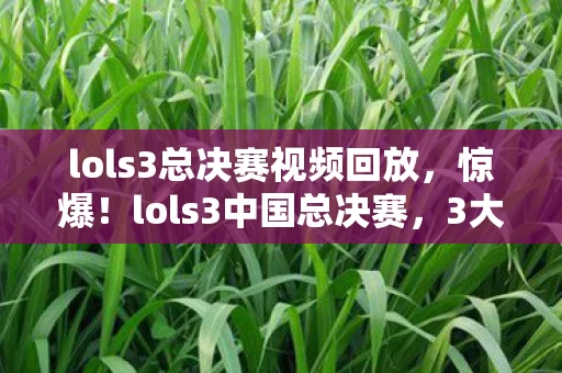 lols3总决赛视频回放，惊爆！lols3中国总决赛，3大黑马逆袭，谁将登顶封神？