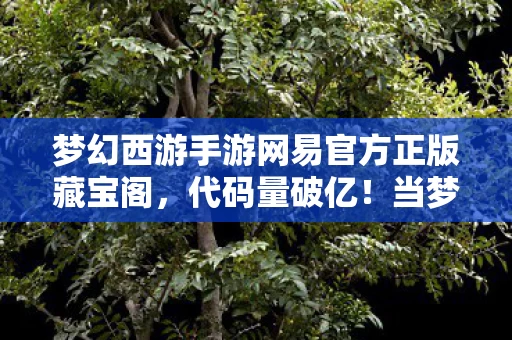 梦幻西游手游网易官方正版藏宝阁，代码量破亿！当梦幻西游NPC觉醒，我在长安城用帮战规则活成暗线BOSS