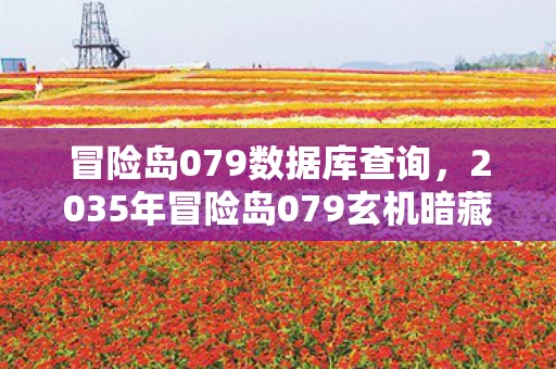 冒险岛079数据库查询，2035年冒险岛079玄机暗藏，沉默背后究竟藏着什么秘密？
