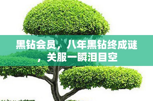 黑钻会员,八年黑钻终成谜,关服一瞬泪目空 黑钻会员,八年黑钻终成谜,关服一瞬泪目空