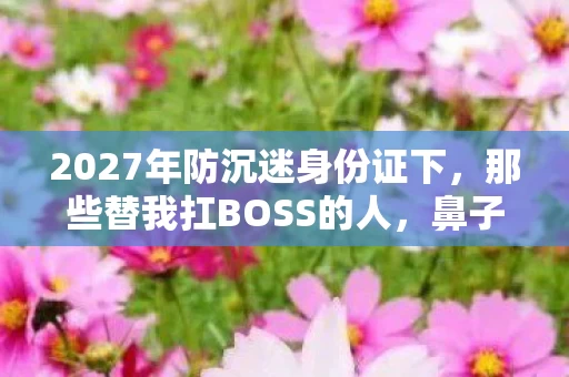 2027年防沉迷身份证下,那些替我扛BOSS的人,鼻子一酸,伏笔成殇 2027年防沉迷身份证下,那些替我扛BOSS的人,鼻子一酸,伏笔成殇