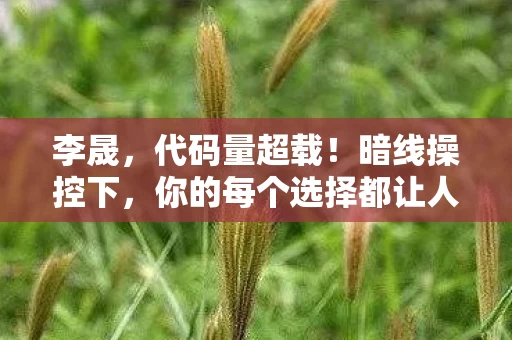 李晟,代码量超载!暗线操控下,你的每个选择都让人头皮发麻 李晟,代码量超载!暗线操控下,你的每个选择都让人头皮发麻
