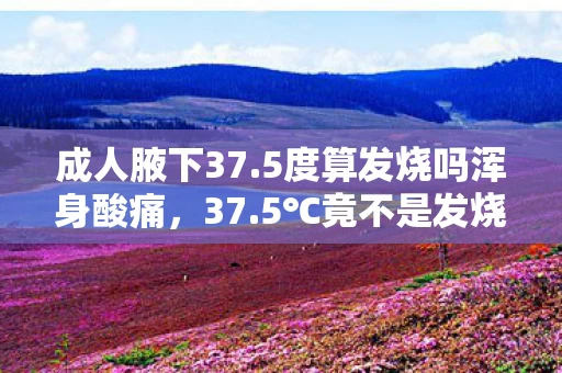 成人腋下37.5度算发烧吗浑身酸痛,37.5℃竟不是发烧?十年体温迷局,真相让我惊掉下巴! 成人腋下37.5度算发烧吗浑身酸痛,37.5℃竟不是发烧?十年体温迷局,真相让我惊掉下巴!