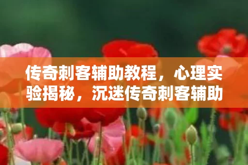 传奇刺客辅助教程,心理实验揭秘,沉迷传奇刺客辅助三年,细思极恐的自我囚禁 传奇刺客辅助教程,心理实验揭秘,沉迷传奇刺客辅助三年,细思极恐的自我囚禁