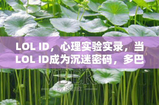 LOL ID,心理实验实录,当LOL ID成为沉迷密码,多巴胺陷阱细思极恐 LOL ID,心理实验实录,当LOL ID成为沉迷密码,多巴胺陷阱细思极恐