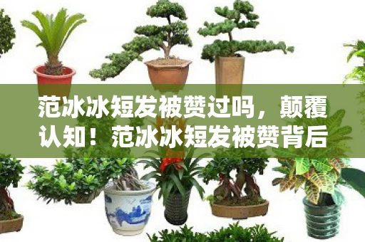 范冰冰短发被赞过吗，颠覆认知！范冰冰短发被赞背后，竟藏着目瞪口呆的冷知识