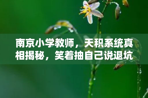 南京小学教师，天积系统真相揭秘，笑着抽自己说退坑，落差中笑着笑着哭了