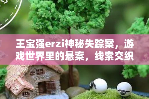 王宝强erzi神秘失踪案,游戏世界里的悬案,线索交织令人毛骨悚然 王宝强erzi神秘失踪案,游戏世界里的悬案,线索交织令人毛骨悚然