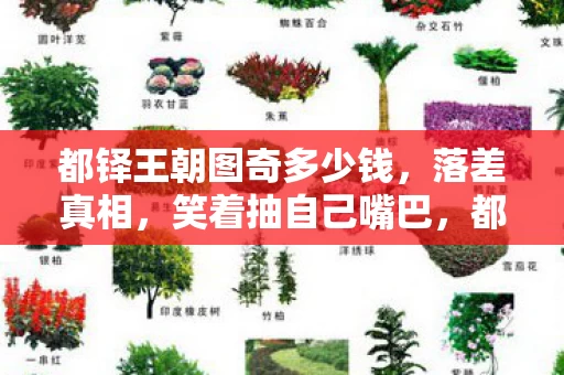 都铎王朝图奇多少钱,落差真相,笑着抽自己嘴巴,都铎王朝图奇竟让我笑着笑着哭了 都铎王朝图奇多少钱,落差真相,笑着抽自己嘴巴,都铎王朝图奇竟让我笑着笑着哭了