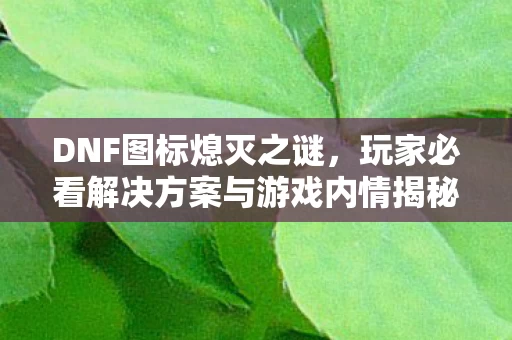 玩家必看解决方案与游戏内情揭秘图片