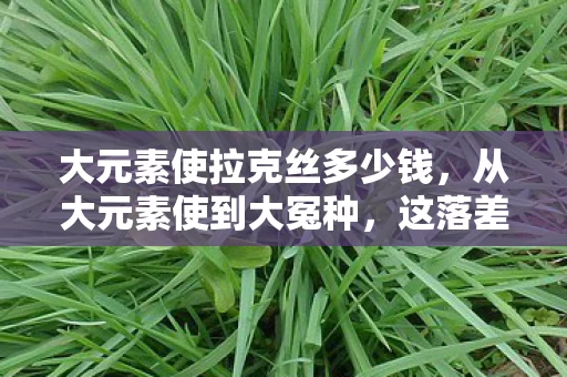 大元素使拉克丝多少钱，从大元素使到大冤种，这落差真相让我笑着氪金，哭着卸载