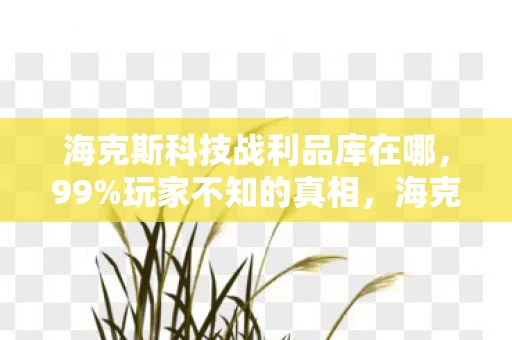 海克斯科技战利品库在哪，99%玩家不知的真相，海克斯战利品库里，藏着多少人的血泪与执念？