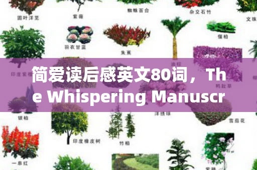 简爱读后感英文80词，The Whispering Manuscript: Jane Eyres Cryptic Legacy and the Unseen Hand