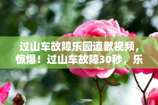 过山车故障乐园道歉视频，惊爆！过山车故障30秒，乐园道歉背后竟藏高手养成秘籍？