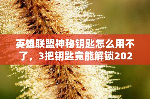 英雄联盟神秘钥匙怎么用不了，3把钥匙竟能解锁2027终极皮肤？老玩家血泪史揭秘真相！